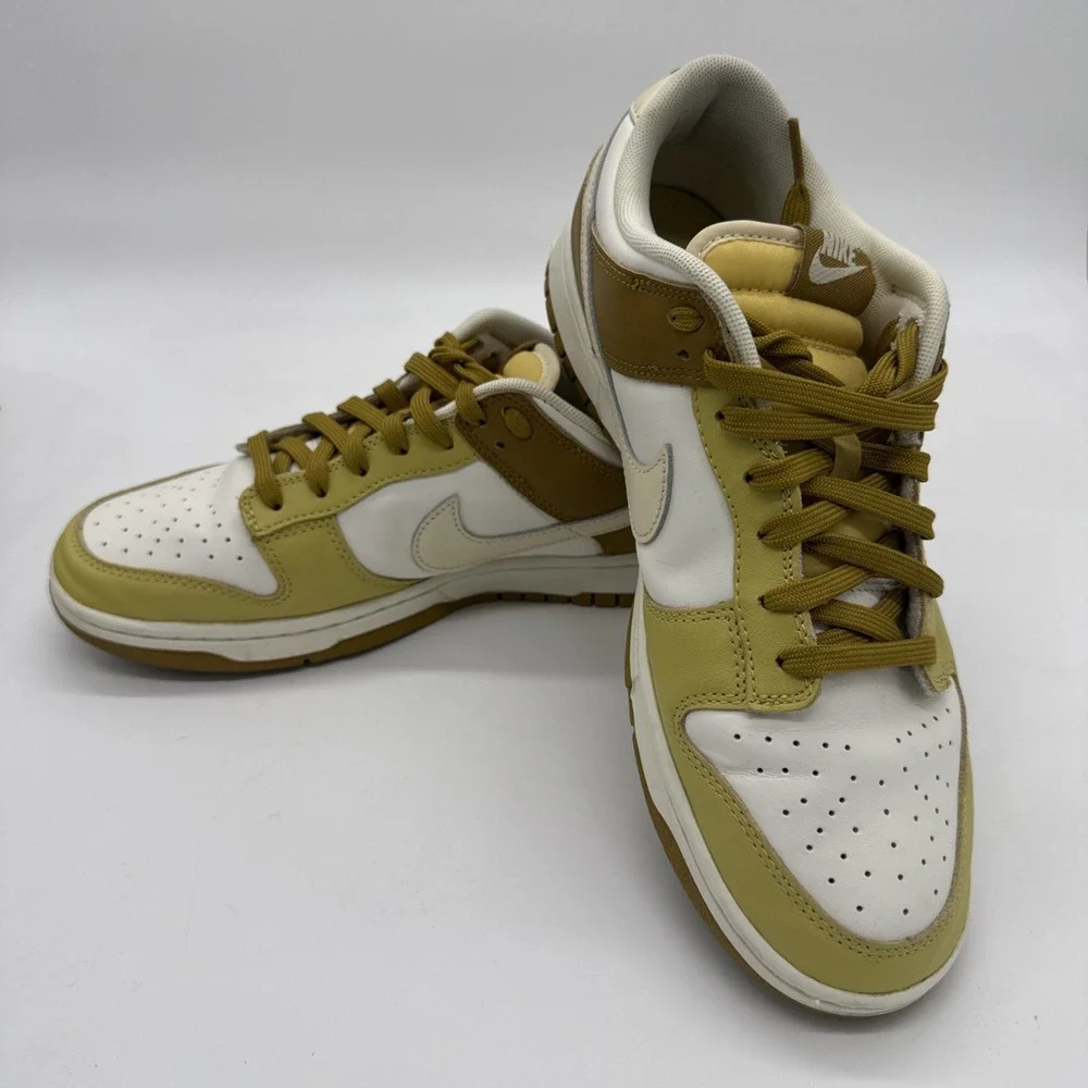 Nike Dunk Low Retro Bronzine Men Lifestyle Casual Shoes Sneakers FZ4042-716